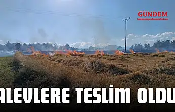 Alevlere Teslim Oldu