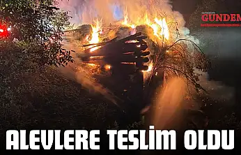 Alevlere Teslim Oldu