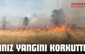 Anız Yangını Korkuttu