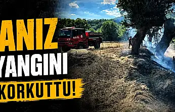 Anız Yangını Korkuttu!