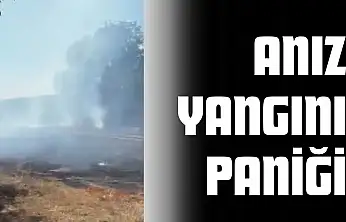 Anız Yangını Paniğe Neden Oldu