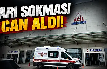 Arı Sokması Can Aldı!
