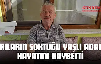 Arıların Soktuğu Yaşlı Adam Hayatını Kaybetti