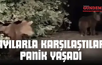 Ayılarla Karşılaşan Vatandaşlar Panik Yaşadı