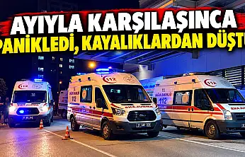 Ayıyla Karşılaşınca Panikledi, Kayalıklardan Düştü