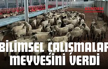 Bilimsel Çalışmalar Meyvesini Verdi