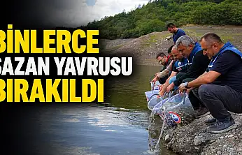 Binlerce Sazan Yavrusu Bırakıldı