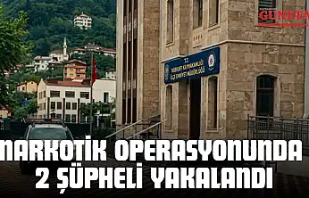 Bozkurt'ta Narkotik Operasyonunda 2 Şüpheli Yakalandı