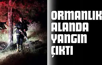 Candaroğulları Mahallesi'ndeki Ormanlık Alanda Yangın Çıktı