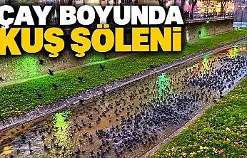 Çay Boyunda Kuş Şöleni