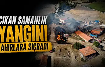 Çıkan Samanlık Yangını Ahırlara Sıçradı