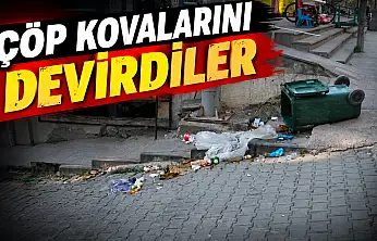 Çöp Kovalarını Devirdiler, Belediye Harekete Geçti!
