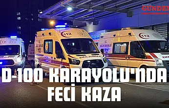 D-100 Karayolu'nda Feci Kaza: 5 Yaralı