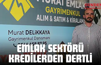 Emlak Sektörü Kredilerden Dertli