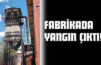 Fabrikada Yangın Çıktı!