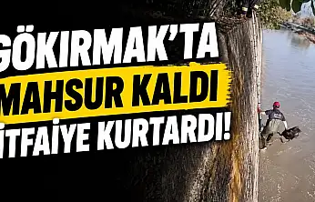 Gökırmak'ta Mahsur Kaldı, İtfaiye Kurtardı!