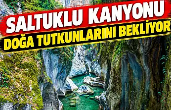 Güzelliğiyle Mest Ediyor