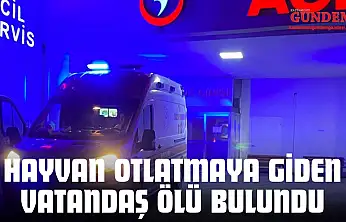 Hayvan Otlatmaya Giden Vatandaş Ölü Bulundu