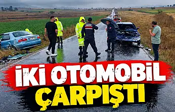 İki Otomobil Çarpıştı: 2 Yaralı