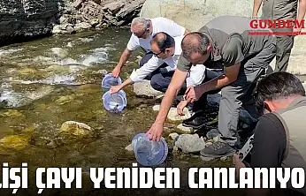 İlişi Çayı Yeniden Canlanıyor