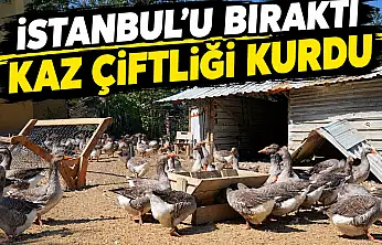 İstanbul'u Bıraktı, Kaz Çiftliği Kurdu!