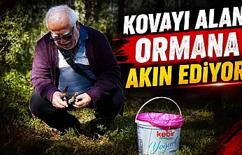 Kastamonu'da Kovayı Alan Ormana Akın Ediyor!