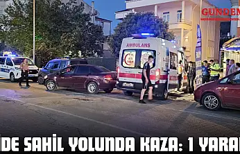 Cide Sahil Yolunda Kaza: 1 Yaralı