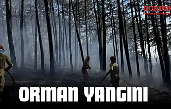 Kastamonu'da Orman Yangını