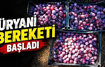 Kastamonu'da Üryani Bereketi Başladı