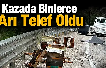 Kazada Binlerce Arı Telef Oldu