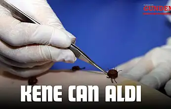Kene Can Aldı