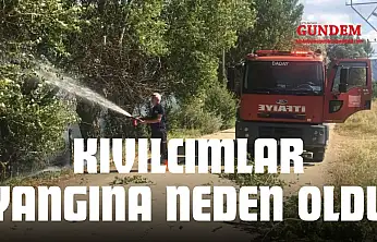 Kıvılcımlar Yangına Neden Oldu
