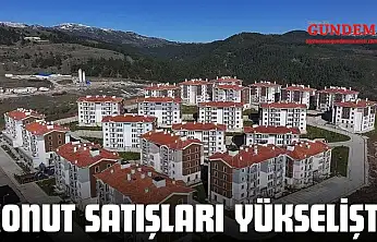 Konut Satışları Yükselişte