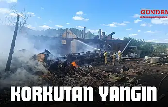 Korkutan Yangın