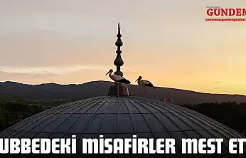 Kubbedeki Misafirler Mest Etti