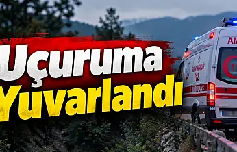 Kuşburnu Toplarken Uçuruma Yuvarlandı