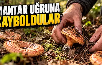 Mantar Uğruna Kayboldular