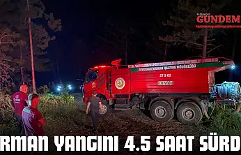 Orman Yangını 4.5 Saat Sürdü