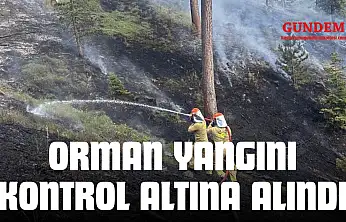 Orman Yangını Kontrol Altına Alındı