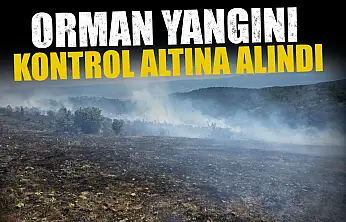 Orman Yangını Kontrol Altına Alındı