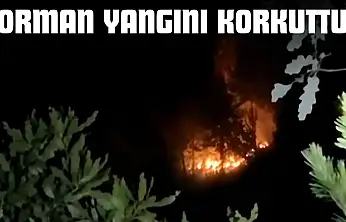 Orman Yangını Korkuttu