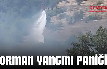 Orman Yangını Paniği