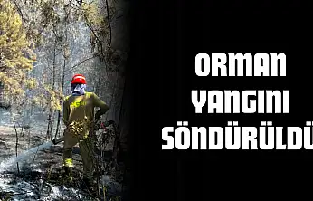 Orman Yangını Söndürüldü