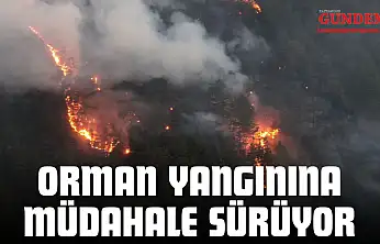 Orman Yangınına Müdahale Sürüyor