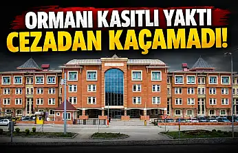 Ormanı Kasıtlı Yaktı, Cezadan Kaçamadı!