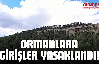 Ormanlara Girişler Yasaklandı!