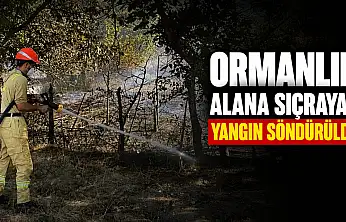 Ormanlık Alana Sıçrayan Yangın Söndürüldü