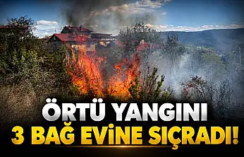 Örtü Yangını 3 Bağ Evine Sıçradı