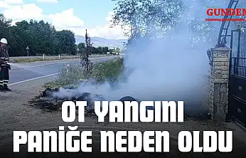 Ot Yangını Paniğe Neden Oldu