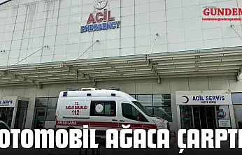 Otomobil Ağaca Çarptı: Yaralılar Var!